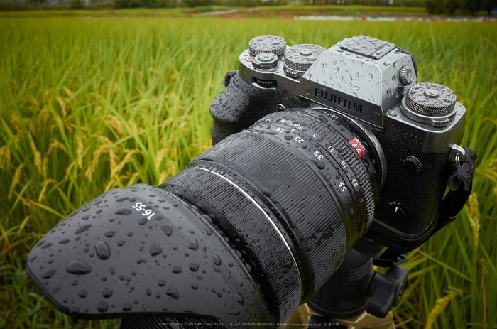お写ん歩: FUJINON XF50-140mm F2.8 R LM OIS WRアーカイブ